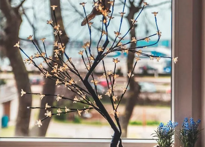 公寓 Luxury With Sea View 普拉