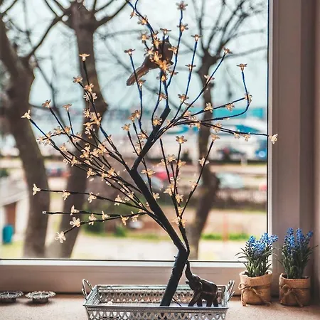 Apartment Luxury With Sea View Pula